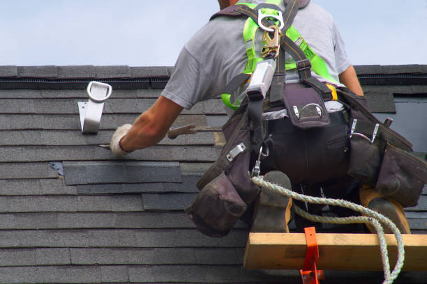 Best Emergency Roof Repair  in Albany, CA