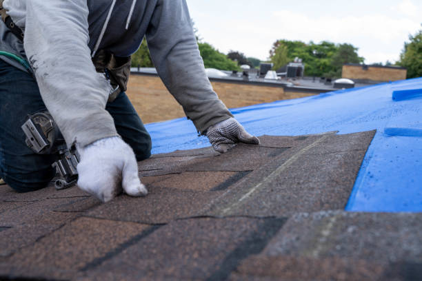 Best Roof Leak Repair  in Albany, CA